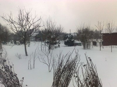 Ogród zimą 2011 roku.