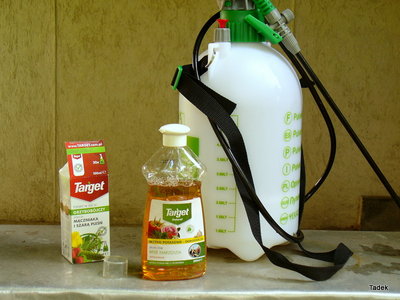 Mydło potasowe, opryskiwacz i miarka pożyczona ze środka ochrony roślin Topsin M 500, do odmierzenia potrzebnej ilości mydła.