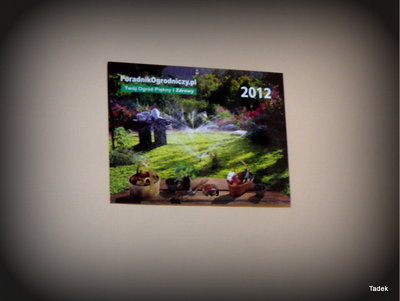 Ponieważ nowy kalendarz jest innych gabarytów, postanowiłem z zeszłorocznego kalendarza pozostawić zdjęcie reprezentujące zadbany ogródek. Będzie towarzyszyć mi przez 2013r.