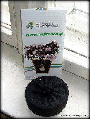 Na zdjęciu, HYDROboks HOME M do: małych rośliny doniczkowych, do doniczek o objętości do 2,0 litrów