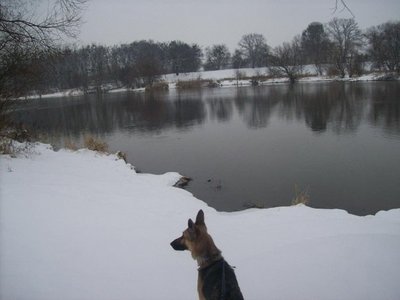 zimowy spacer nad Odrę