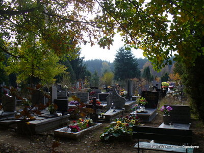 Jesień na cmentarzu Junikowo w Poznaniu
