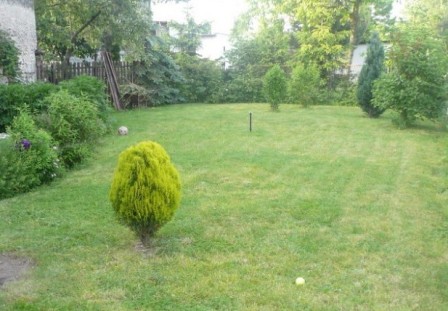 Za widocznym na zdjęciu płotem też jest jeszcze mój ogród,kiedyś był wybiegiem dla psa.Po zdjęccu płotu dwie części połączymy.