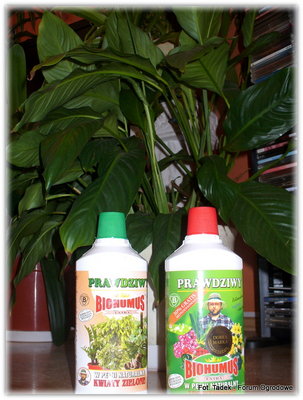Na zdjęciu: Po lewej BIOHUMUS Extra dla Kwiatów Zielonych, <br />po prawej dla kwiatów kwitnących