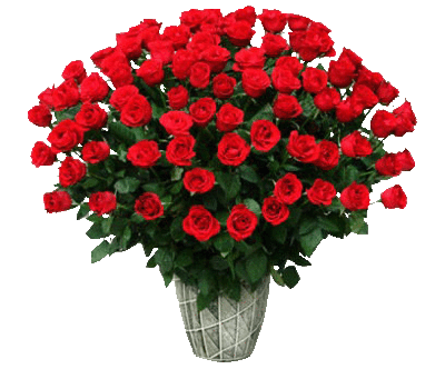 czerwone róże w wazonie 2.gif