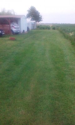 To część wjazdowa trawnika nad którą musze bardziej popracować niezmiernie by mi było gdyby to były produkty Vila z konkursu chętnie bym je wypróbowała