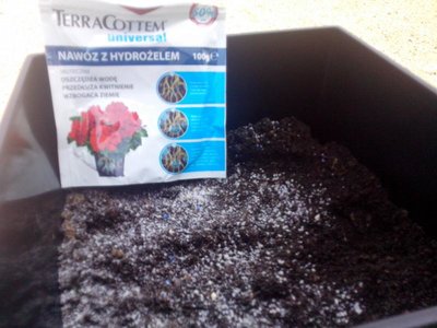 Wsypana dawka TerraCottem- aby roślinom lepiej się rosło :)