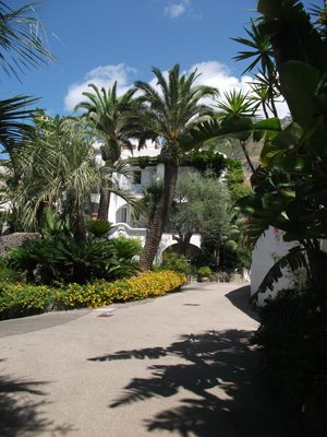 Hotelowy ogród -pamiętam tylko ,że w nazwie hotelu było 2000 palm...