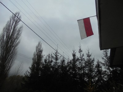 flaga na pietrze naszego domu
