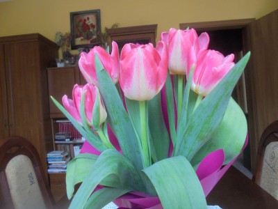tulipany z okazji Dnia Kobiet